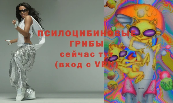 молекула духа Алзамай