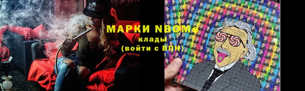 сатива Алексеевка