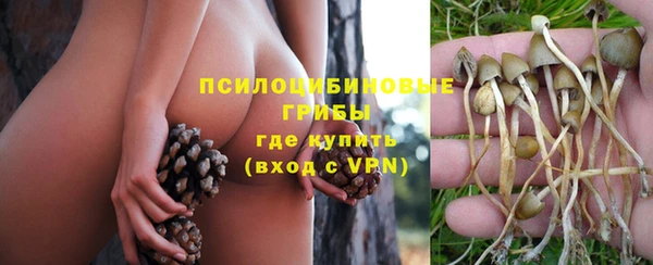 молекула духа Алзамай